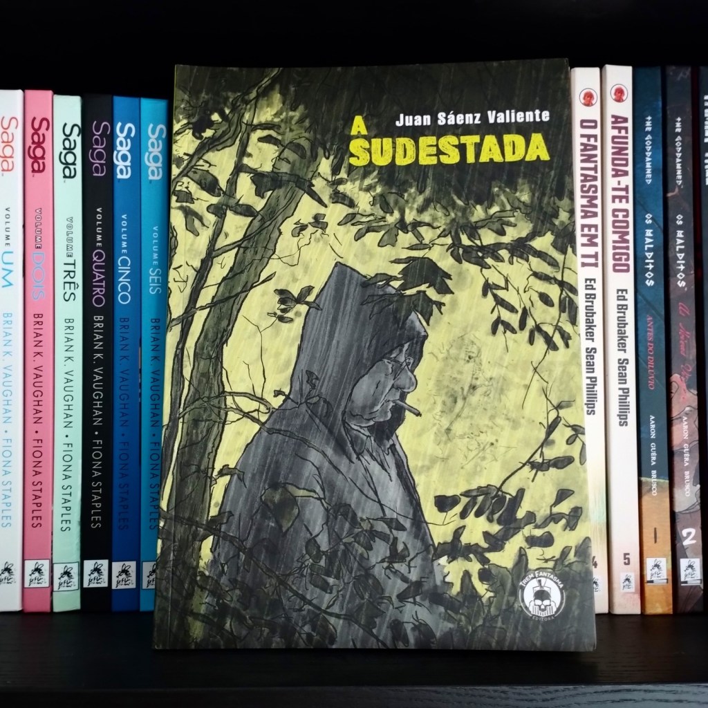A Sudestada
