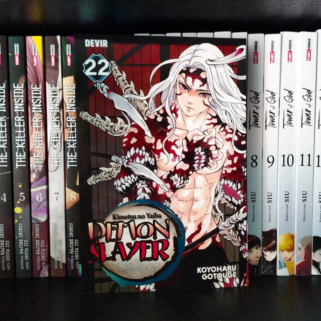 Demon Slayer, Vol.&nbsp;22