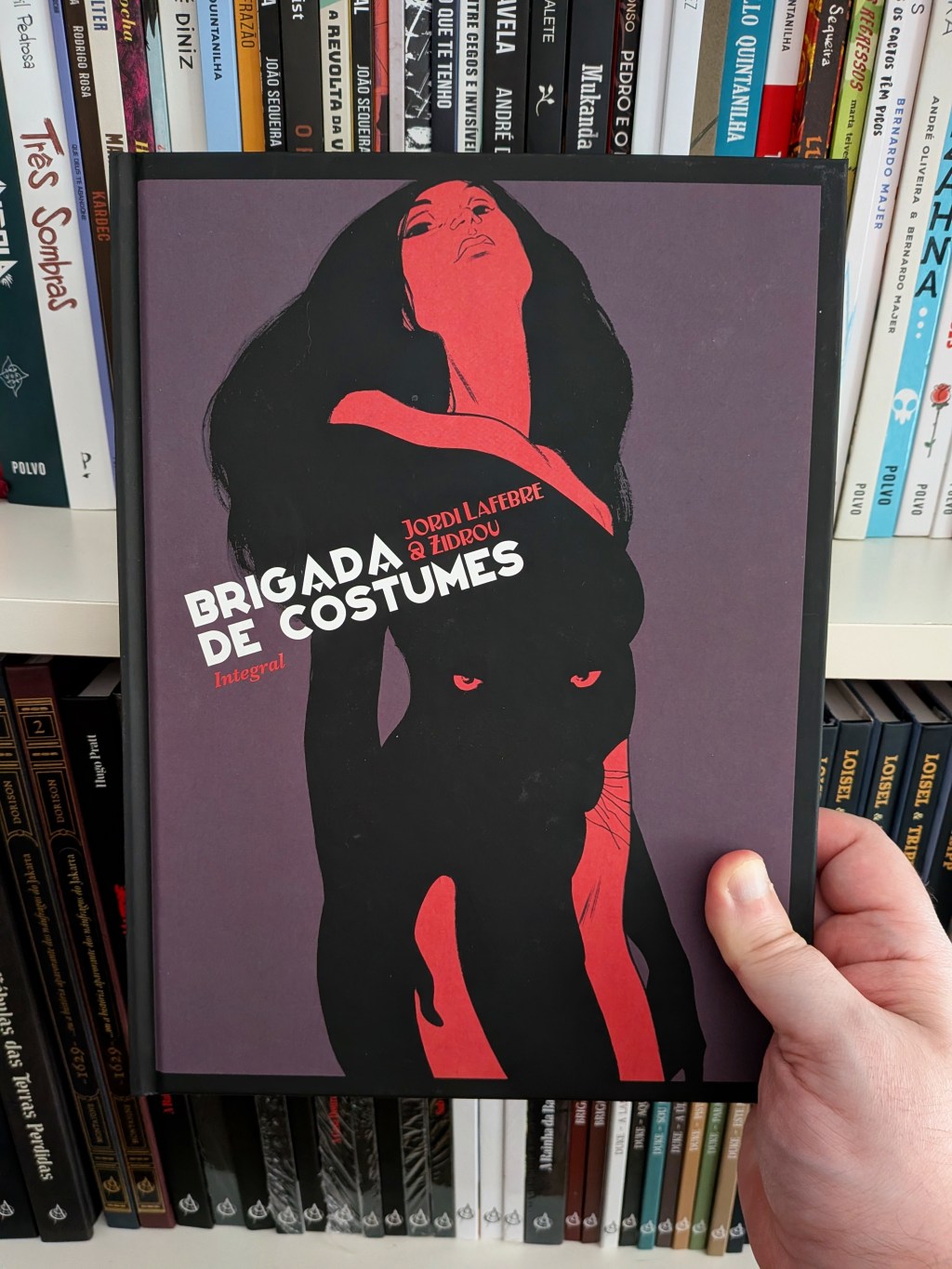 Brigada de Costumes