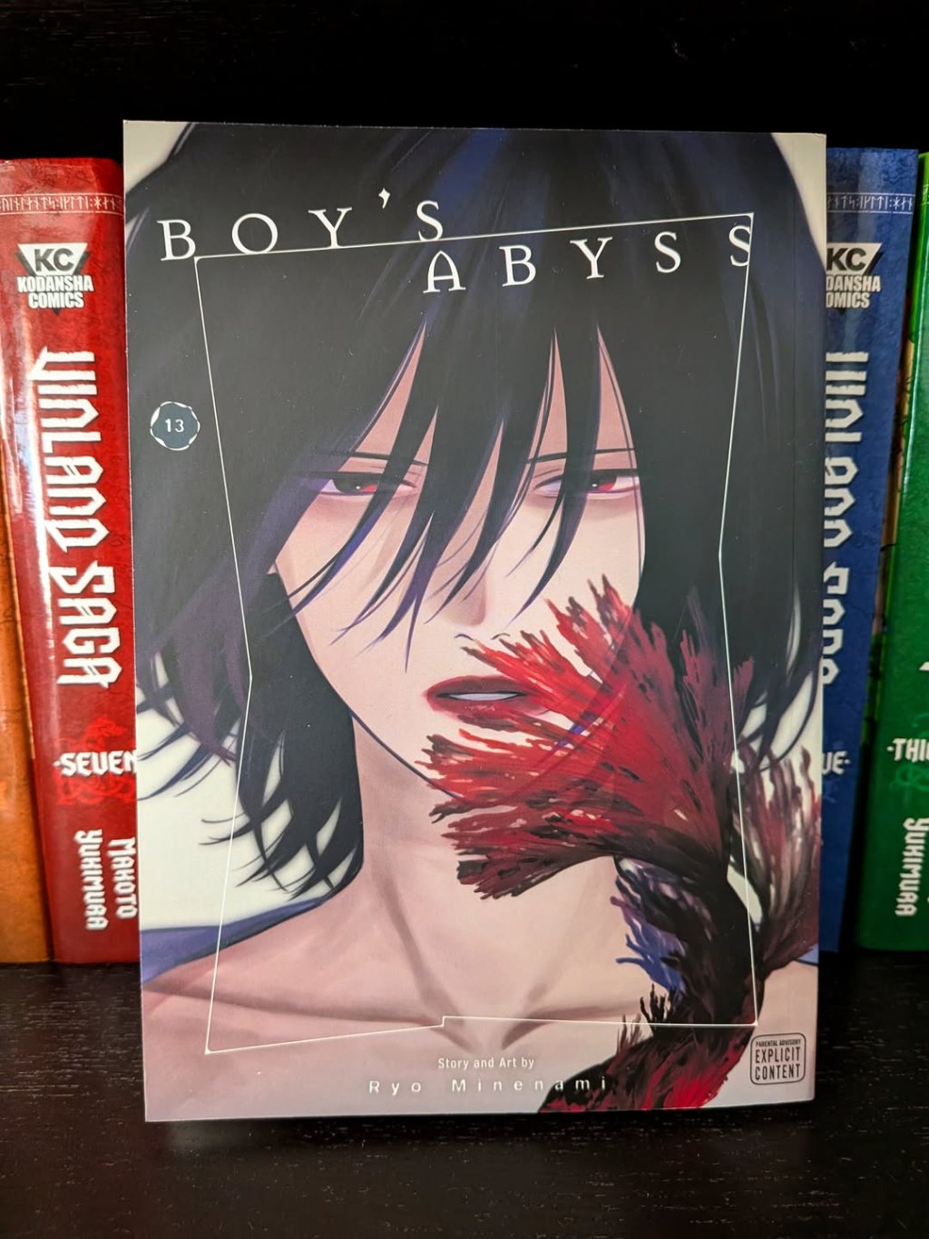 Boy’s Abyss, Vol.&nbsp;13